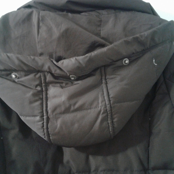 Brown Hollister jacket - Picture 3 of 16